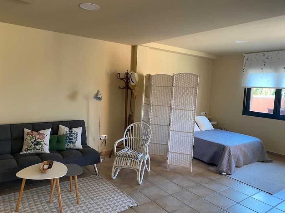 Apartamento Con Piscina En Alicante, Beniarbeig Dış mekan fotoğraf